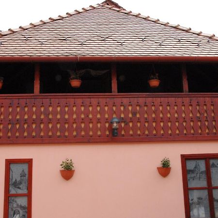 Pension Ela Sibiu Buitenkant foto