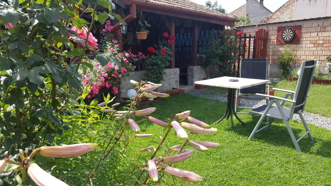 Pension Ela Sibiu Buitenkant foto