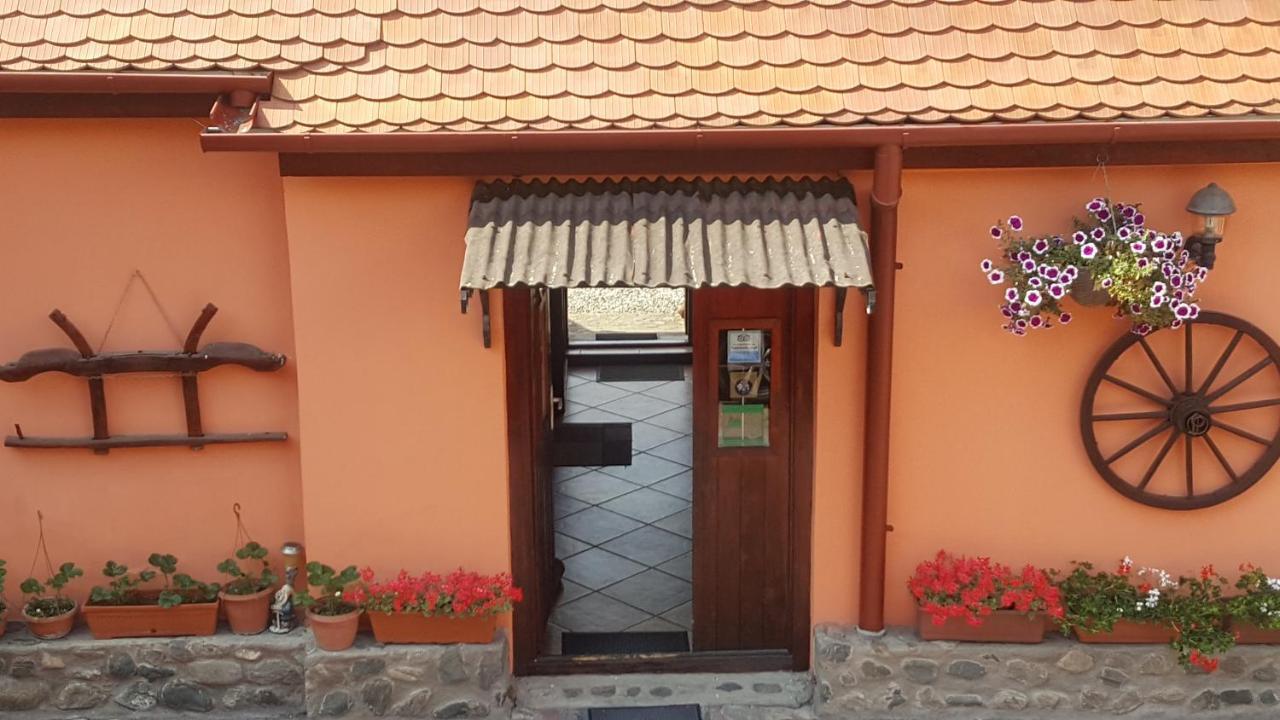 Pension Ela Sibiu Buitenkant foto