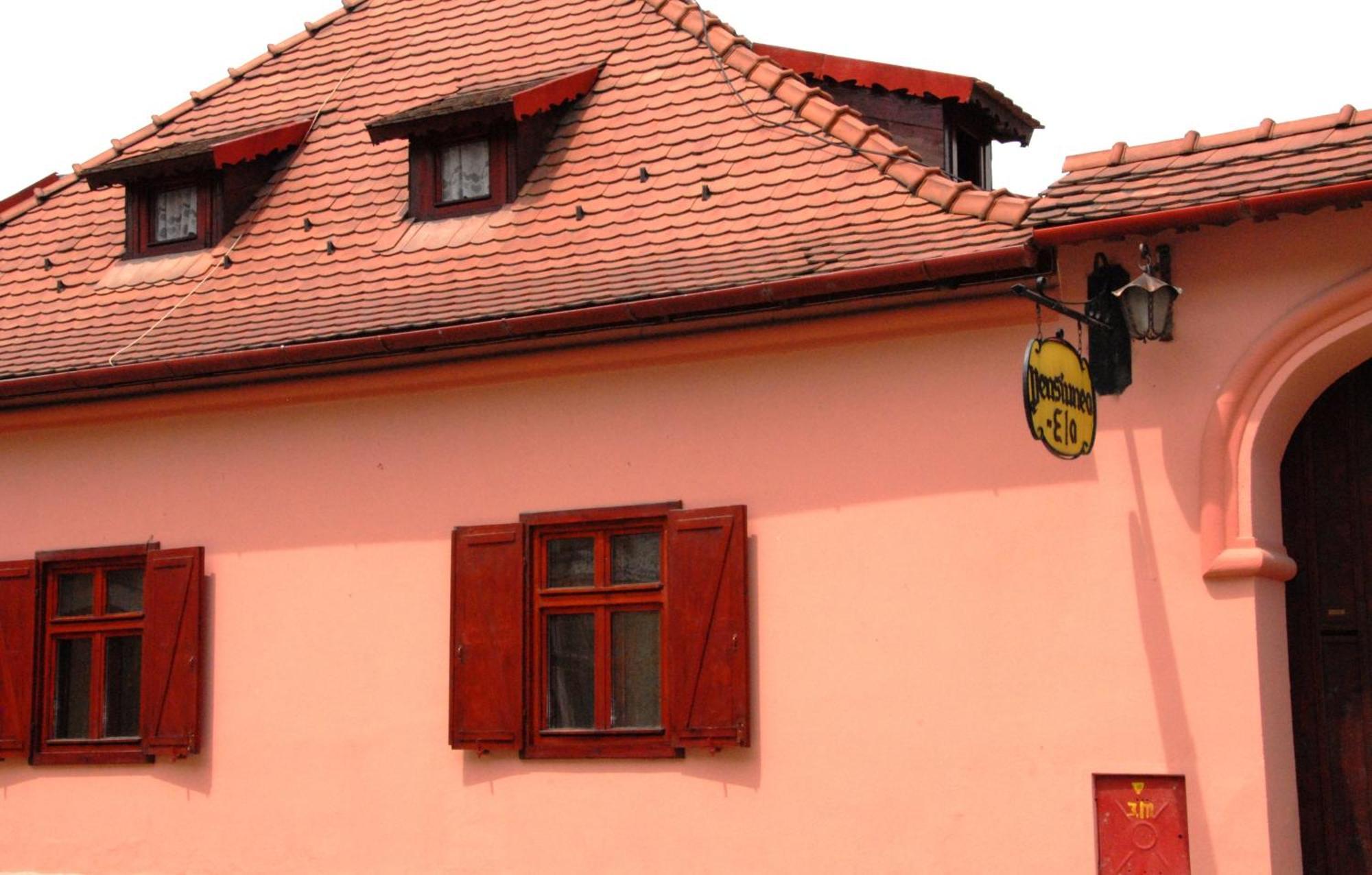 Pension Ela Sibiu Buitenkant foto