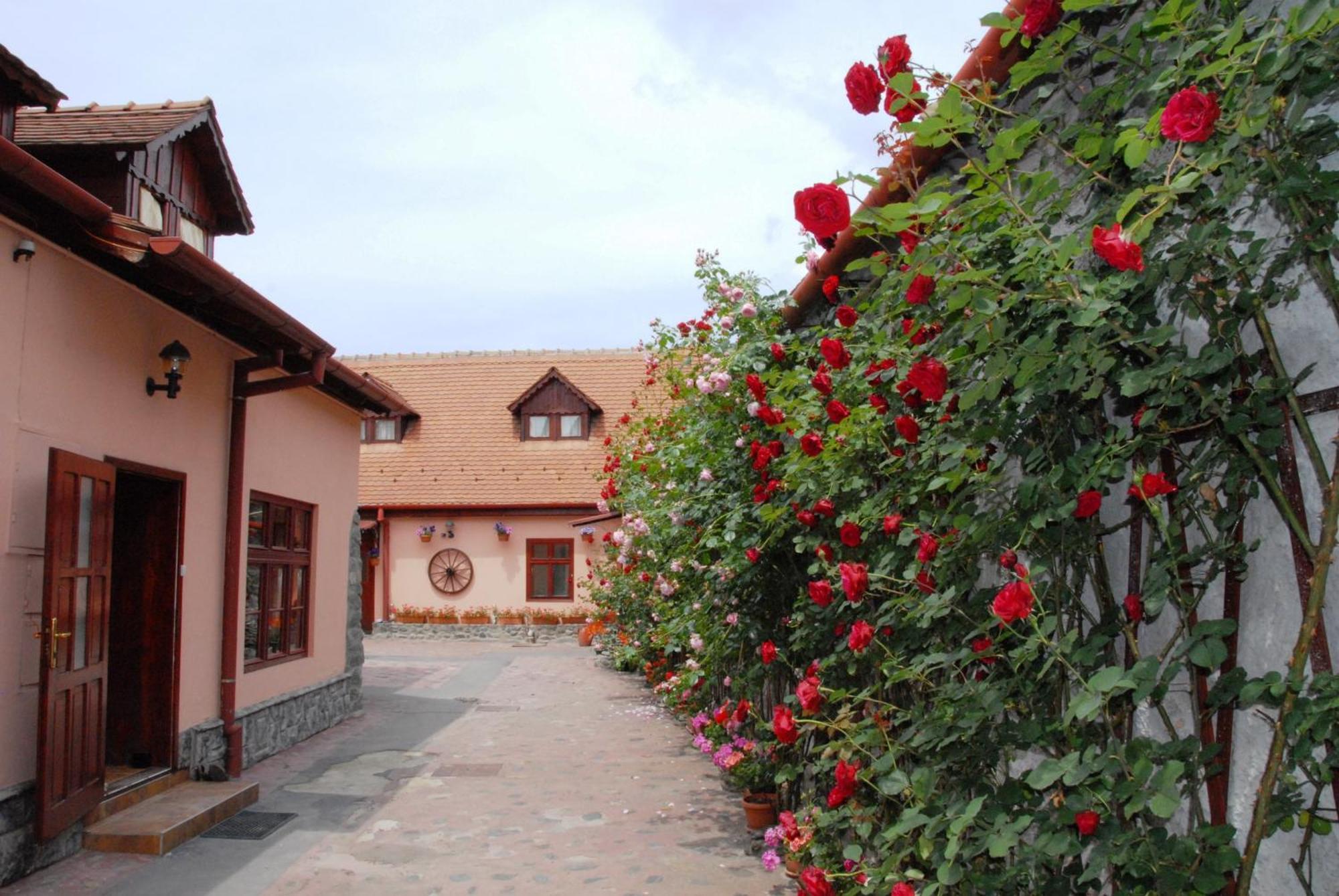 Pension Ela Sibiu Buitenkant foto