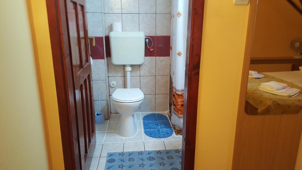 Pension Ela Sibiu Buitenkant foto