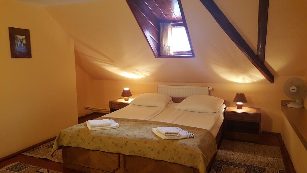 Pension Ela Sibiu Buitenkant foto